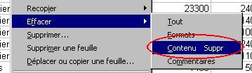 menu effacer.jpg (12670 octets)