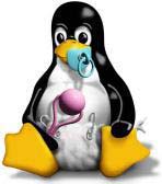 le petit pinguin que j'ai adopt, il porte toujours des couches et a toujours sa ttine et son hochet
